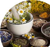 Fitoterapia